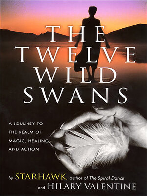 cover image of The Twelve Wild Swans